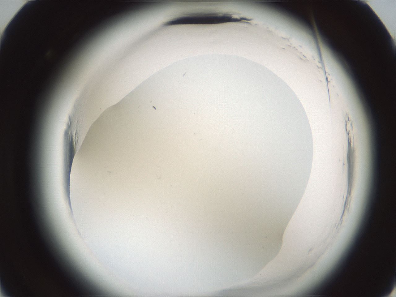 folderID585_plateID2585_batchID13185_wellNum22_profileID1_d3_r205131_ef.jpg