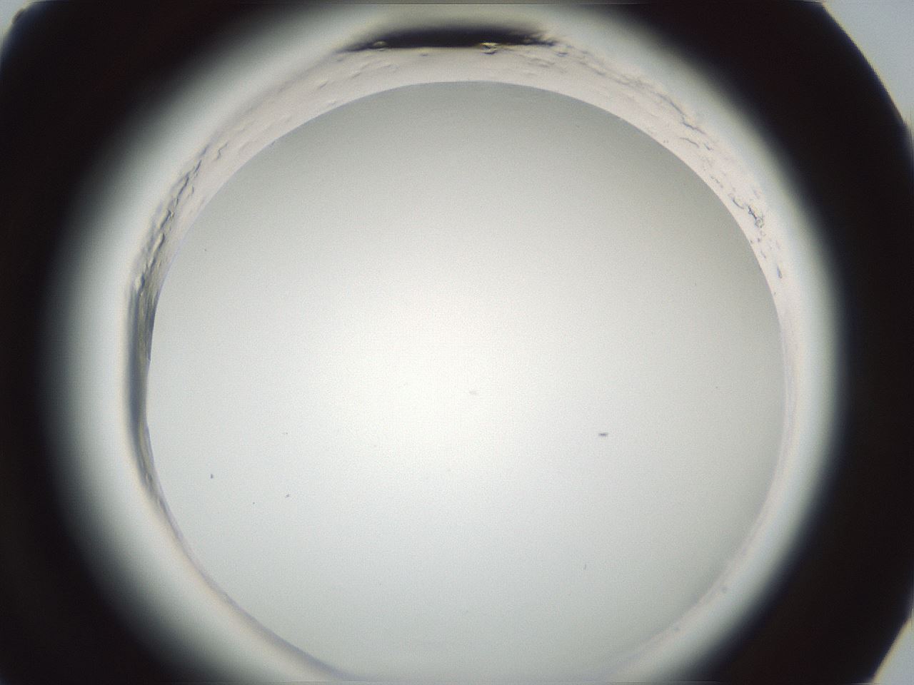 folderID585_plateID2585_batchID13185_wellNum68_profileID1_d3_r205269_ef.jpg