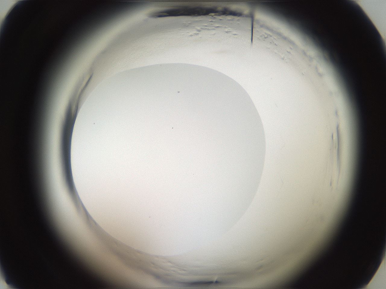 folderID587_plateID2587_batchID13159_wellNum13_profileID1_d1_r197901_ef.jpg