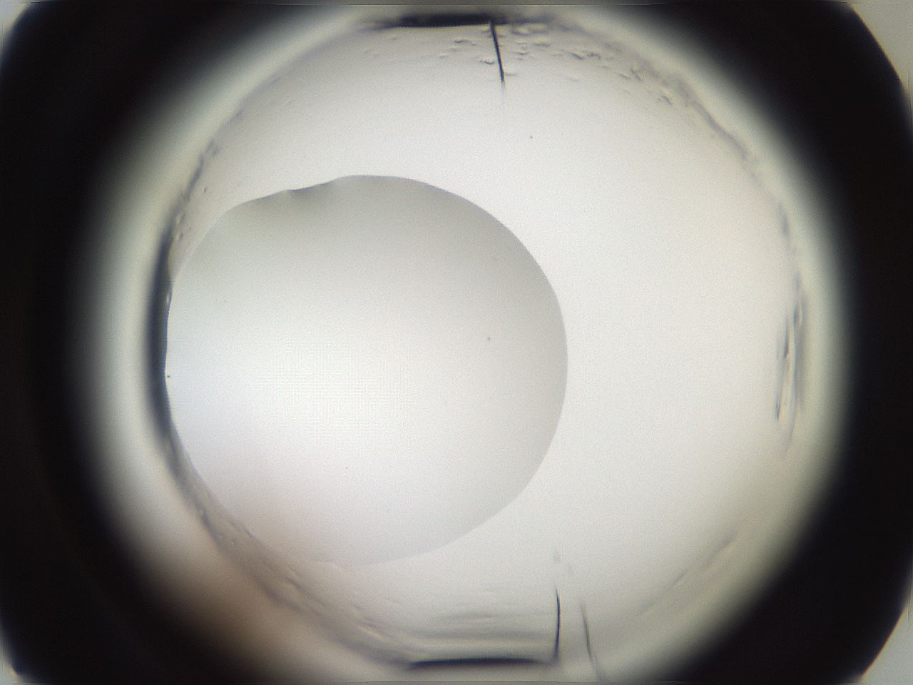 folderID587_plateID2587_batchID13159_wellNum13_profileID1_d2_r197902_ef.jpg