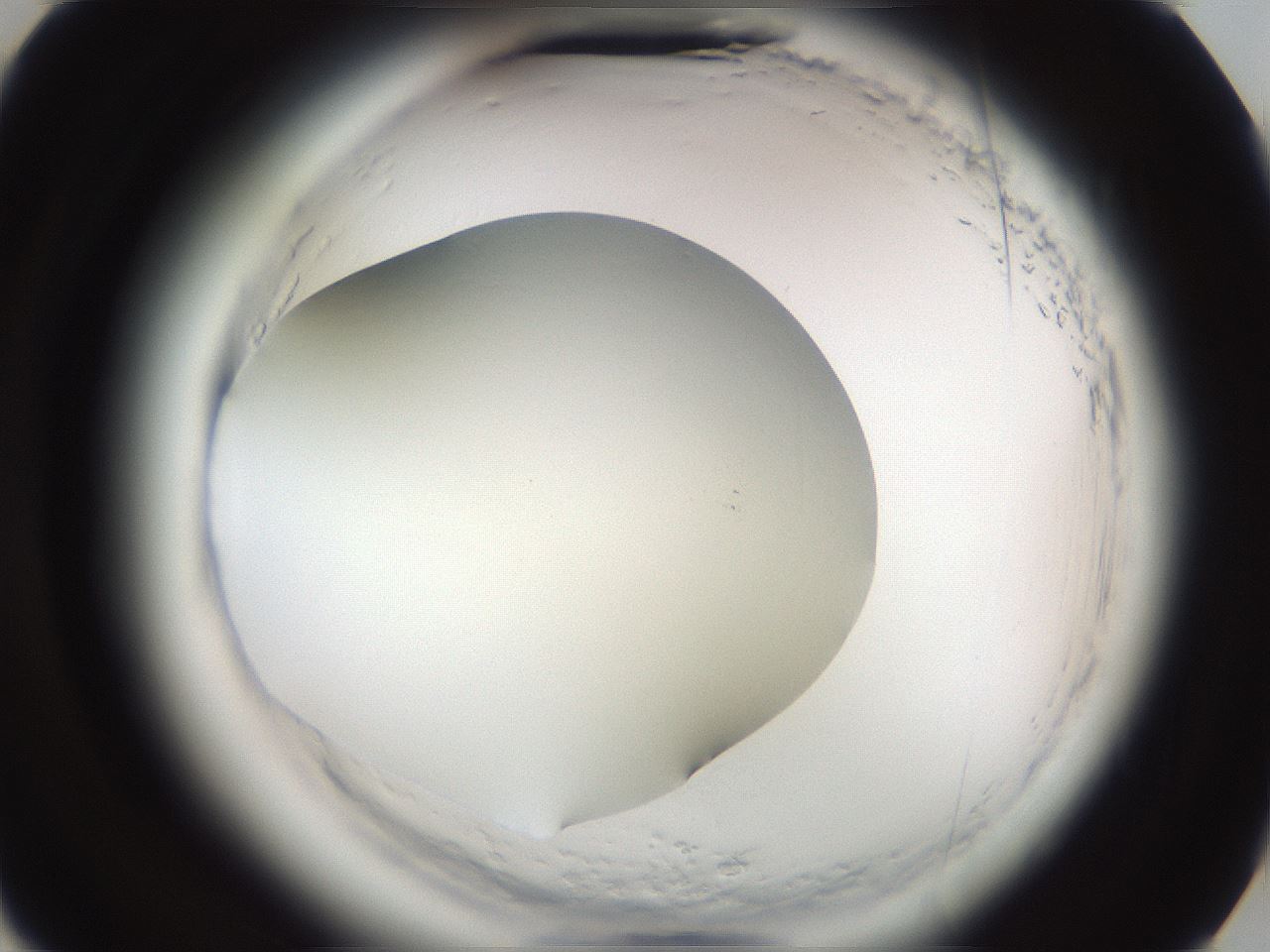folderID587_plateID2587_batchID13159_wellNum15_profileID1_d3_r197909_ef.jpg