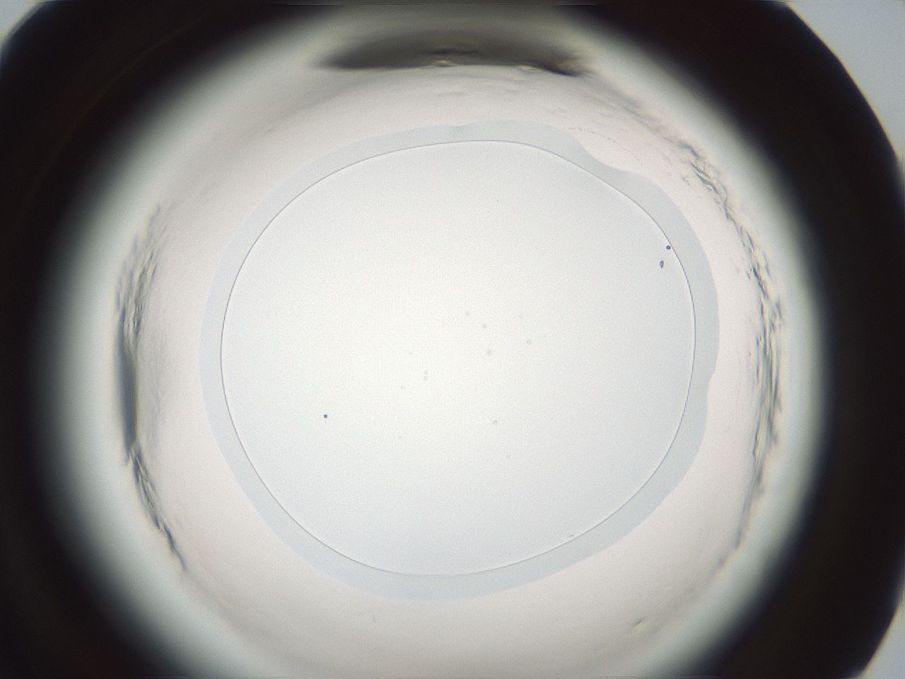 folderID586_plateID2586_batchID13188_wellNum95_profileID1_d1_r206212_ef.jpg