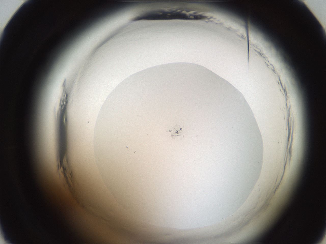 folderID587_plateID2587_batchID13159_wellNum22_profileID1_d1_r197928_ef.jpg