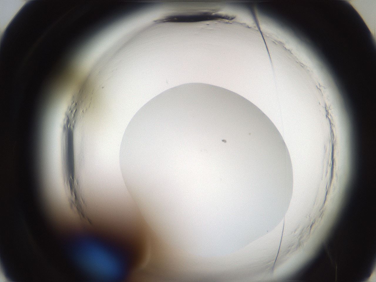 folderID587_plateID2587_batchID13159_wellNum22_profileID1_d2_r197929_ef.jpg