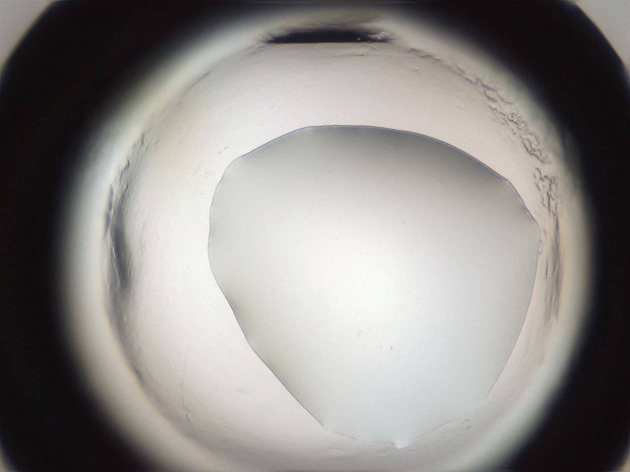 folderID587_plateID2587_batchID13159_wellNum23_profileID1_d3_r197933_ef.jpg