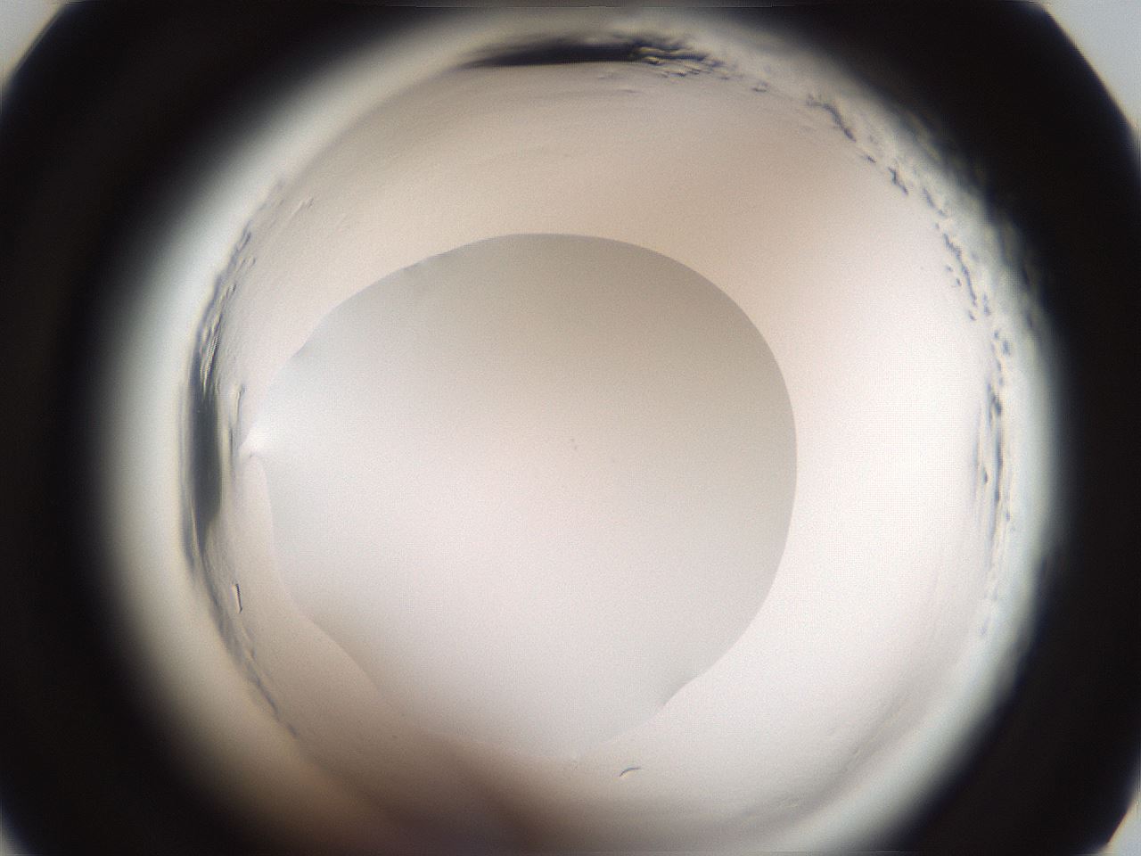 folderID587_plateID2587_batchID13159_wellNum33_profileID1_d2_r197962_ef.jpg