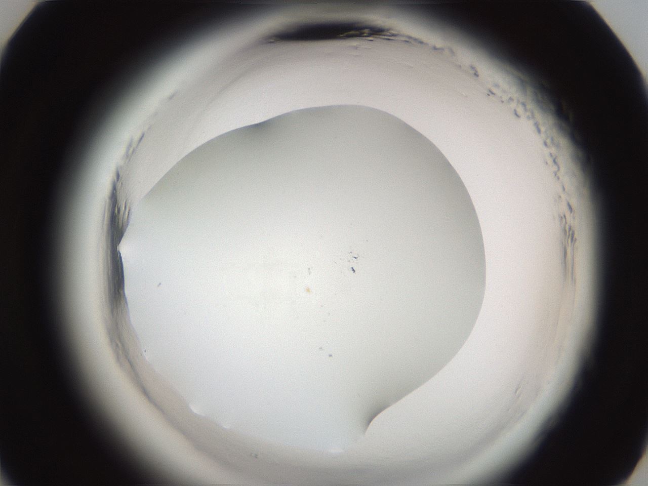 folderID587_plateID2587_batchID13159_wellNum33_profileID1_d3_r197963_ef.jpg