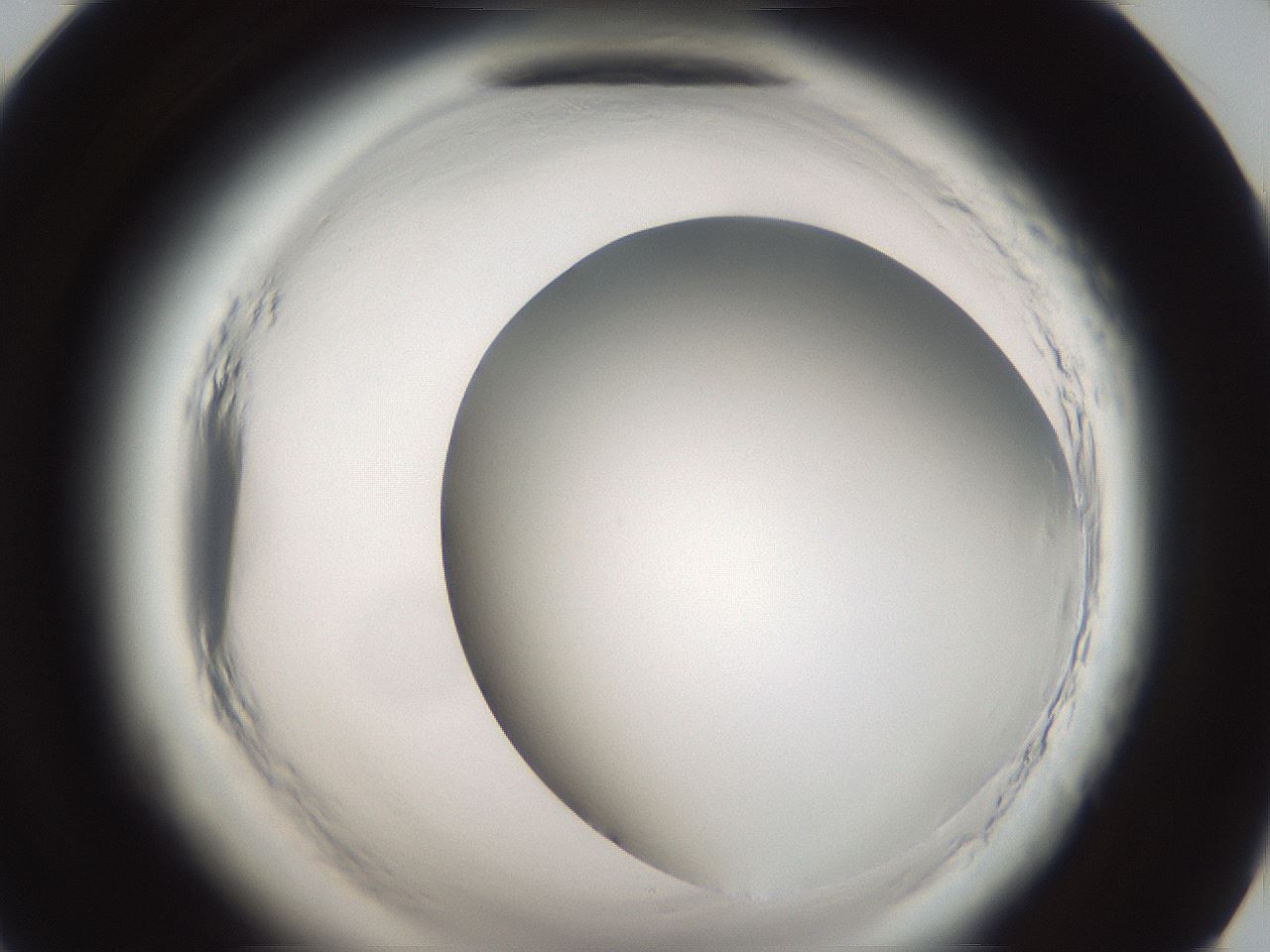 folderID587_plateID2587_batchID13159_wellNum71_profileID1_d1_r198075_ef.jpg