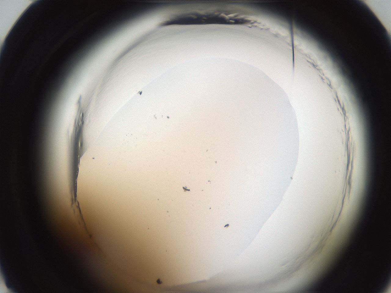 folderID588_plateID2588_batchID13162_wellNum22_profileID1_d1_r199080_ef.jpg