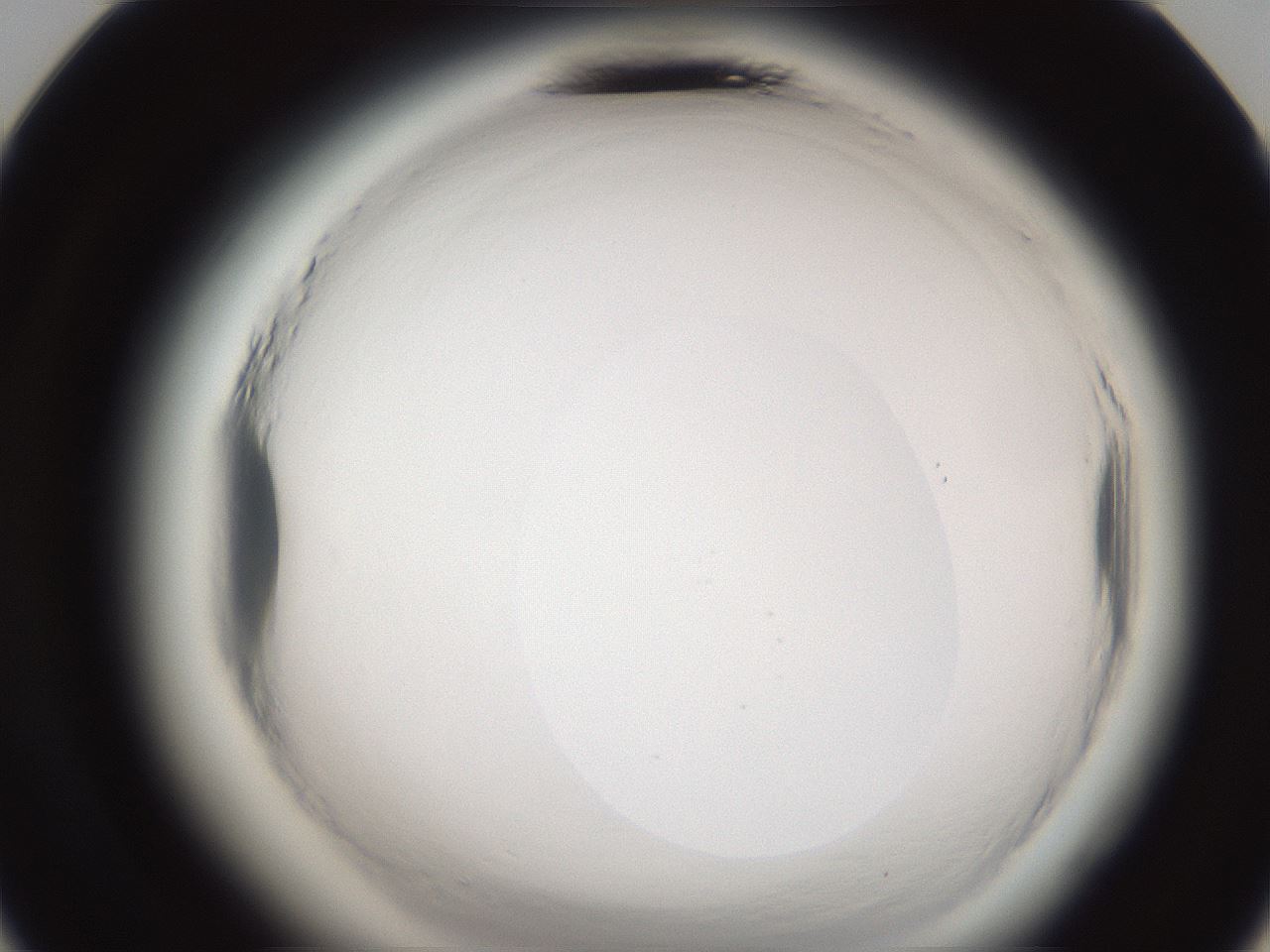 folderID587_plateID2587_batchID13159_wellNum24_profileID1_d3_r197936_ef.jpg