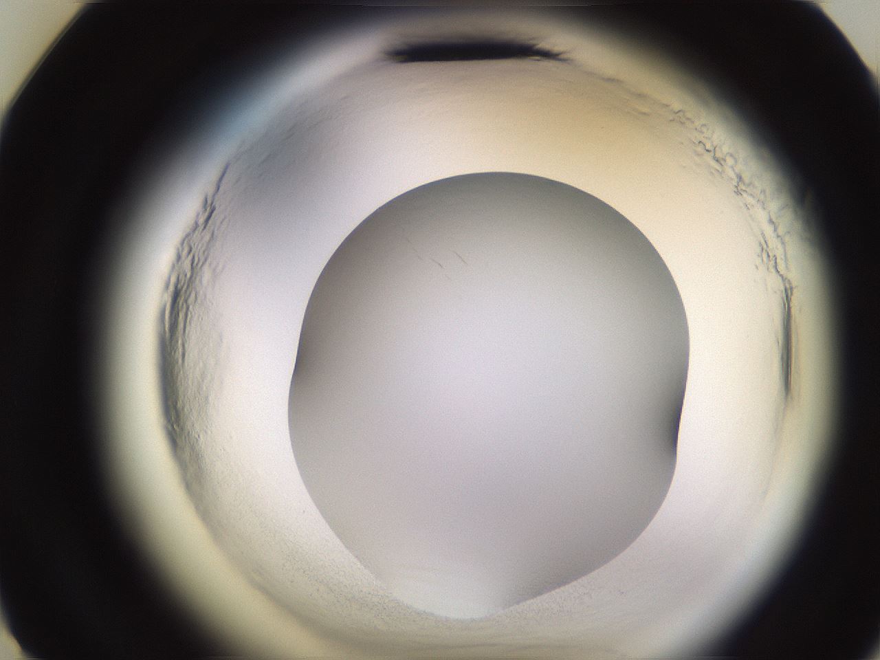 folderID589_plateID2589_batchID13167_wellNum11_profileID1_d3_r200201_ef.jpg