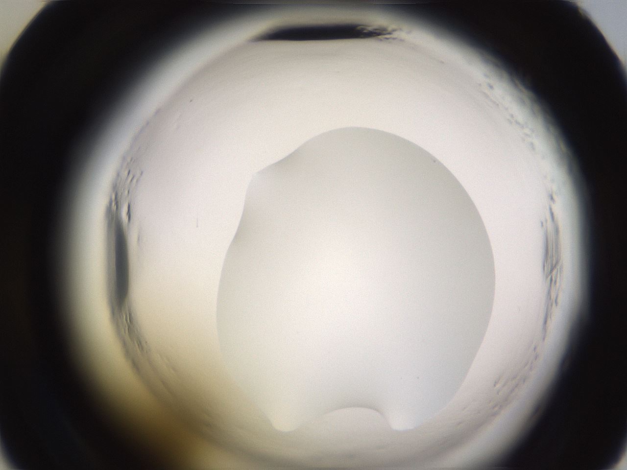 folderID589_plateID2589_batchID13167_wellNum34_profileID1_d2_r200269_ef.jpg