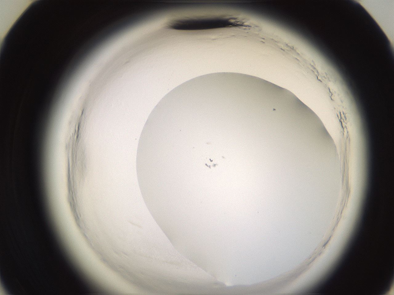 folderID589_plateID2589_batchID13167_wellNum35_profileID1_d3_r200273_ef.jpg