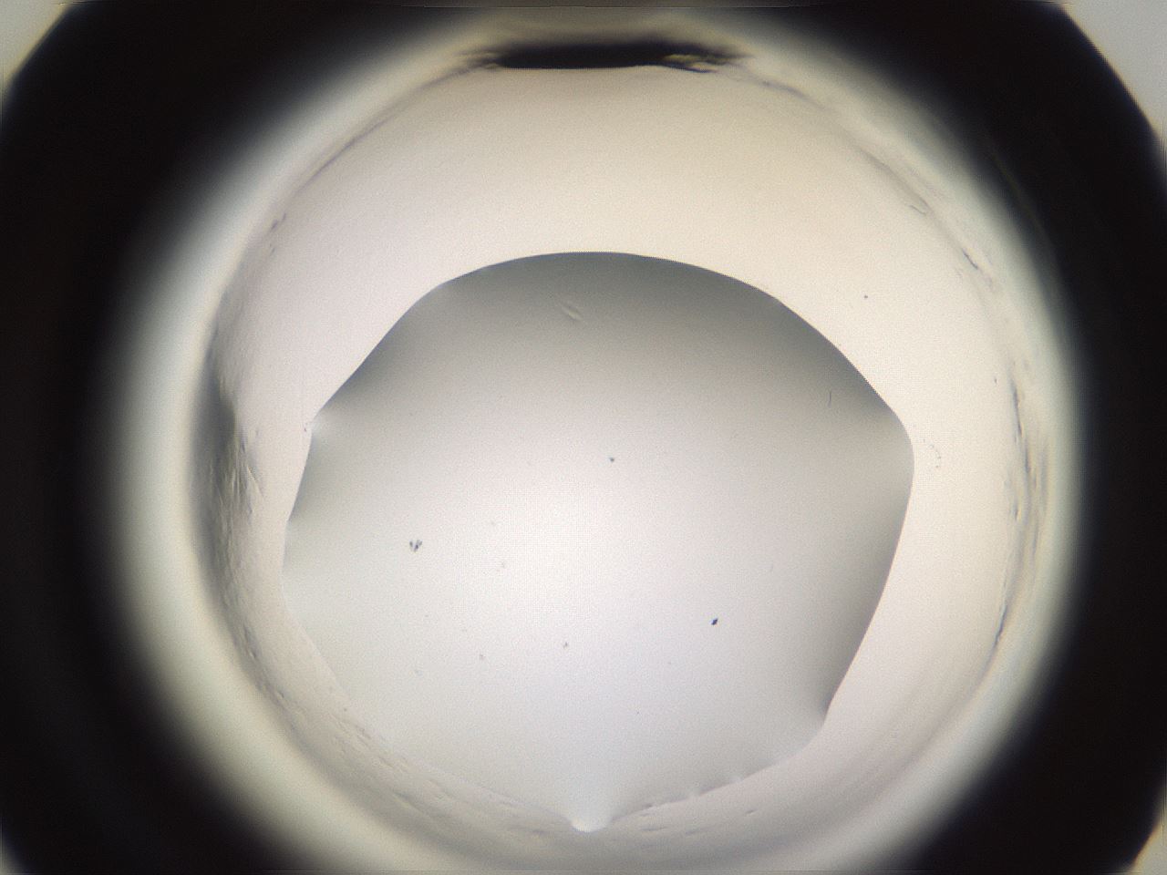 folderID589_plateID2589_batchID13167_wellNum44_profileID1_d3_r200300_ef.jpg
