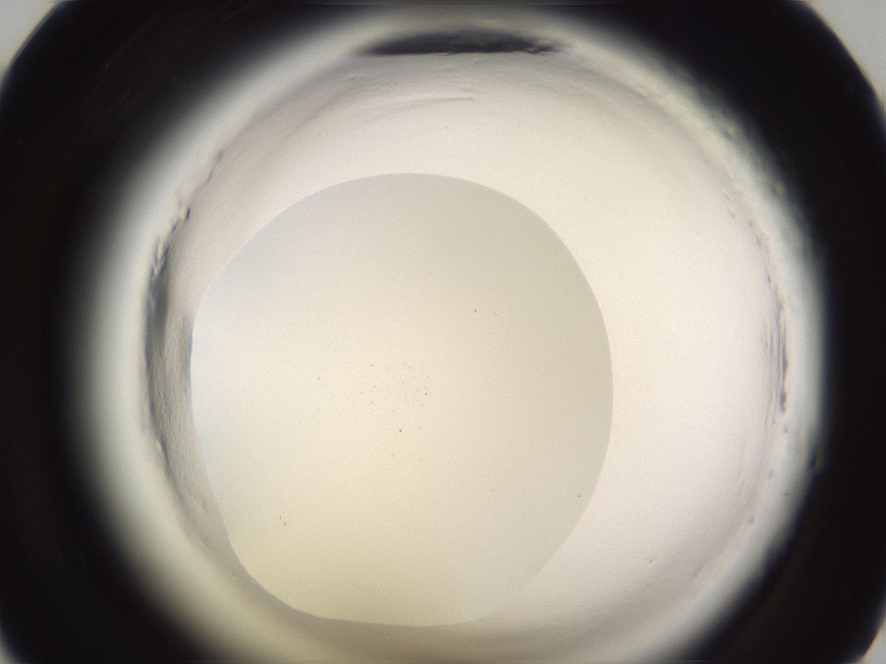 folderID589_plateID2589_batchID13167_wellNum45_profileID1_d1_r200301_ef.jpg