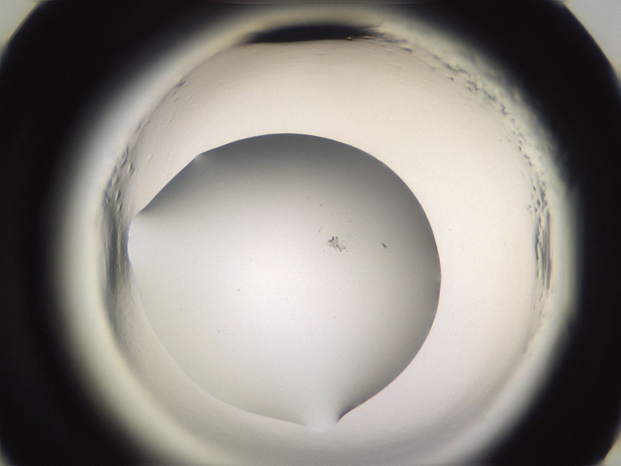 folderID589_plateID2589_batchID13167_wellNum45_profileID1_d3_r200303_ef.jpg