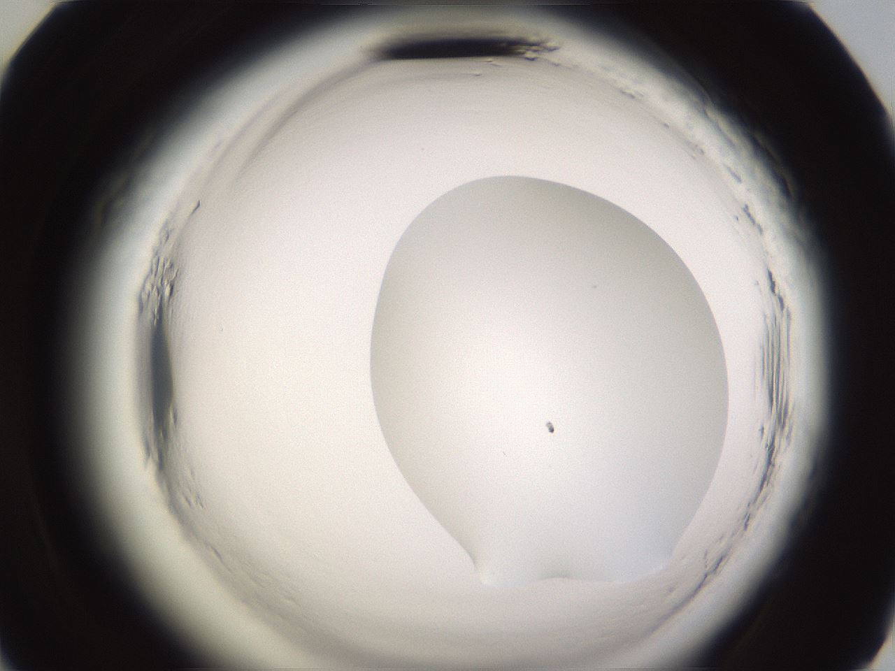 folderID589_plateID2589_batchID13167_wellNum58_profileID1_d2_r200341_ef.jpg