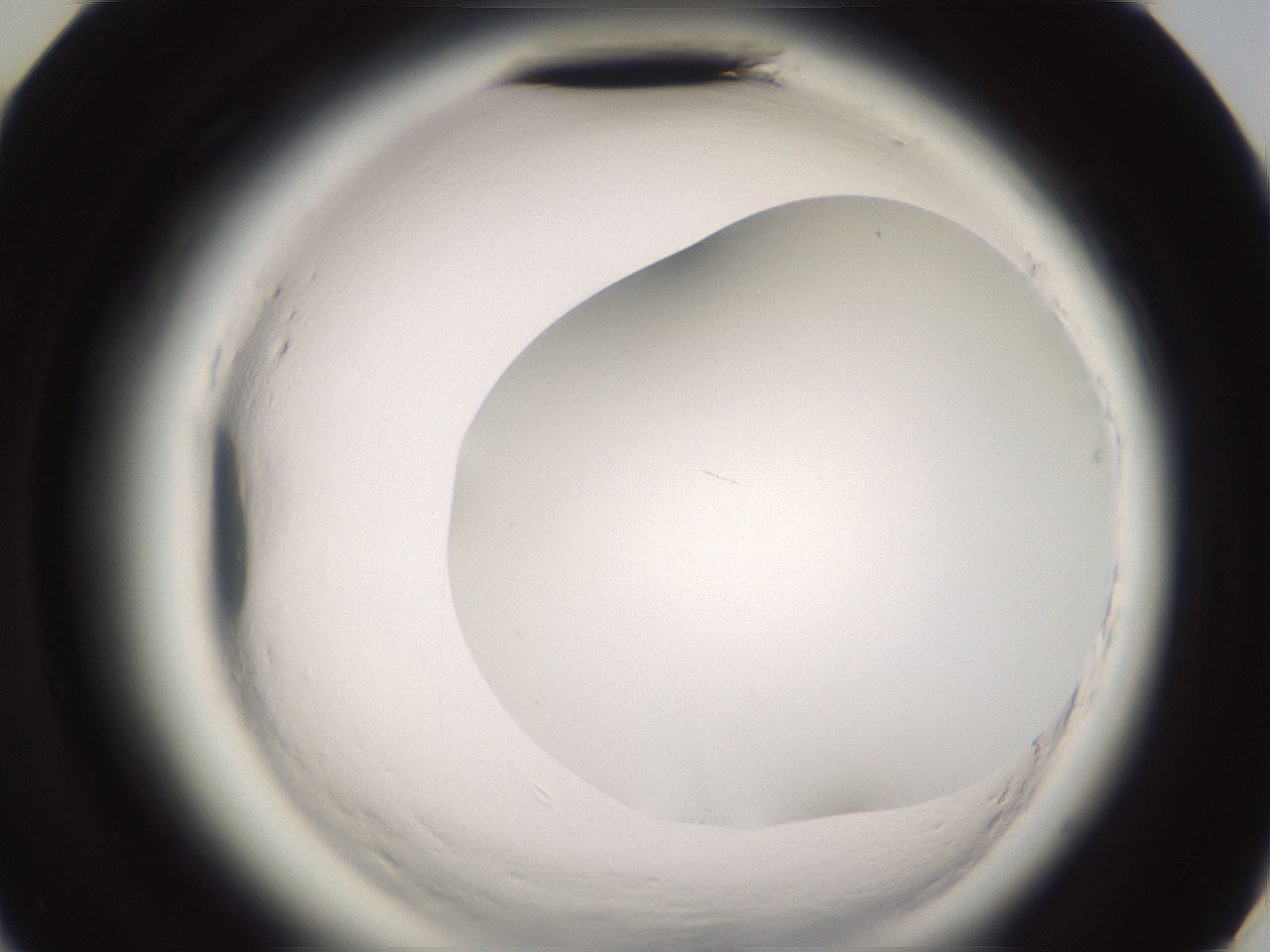 folderID589_plateID2589_batchID13167_wellNum58_profileID1_d3_r200342_ef.jpg