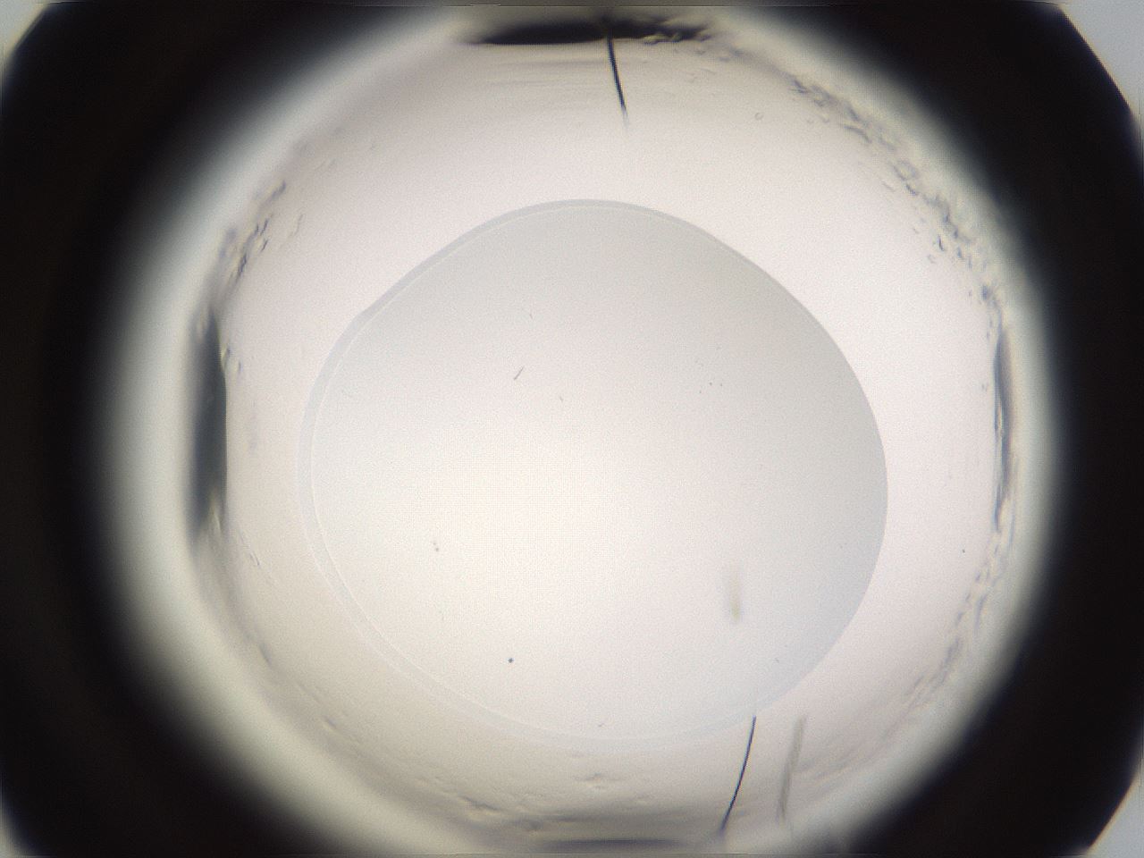 folderID589_plateID2589_batchID13167_wellNum63_profileID1_d2_r200356_ef.jpg