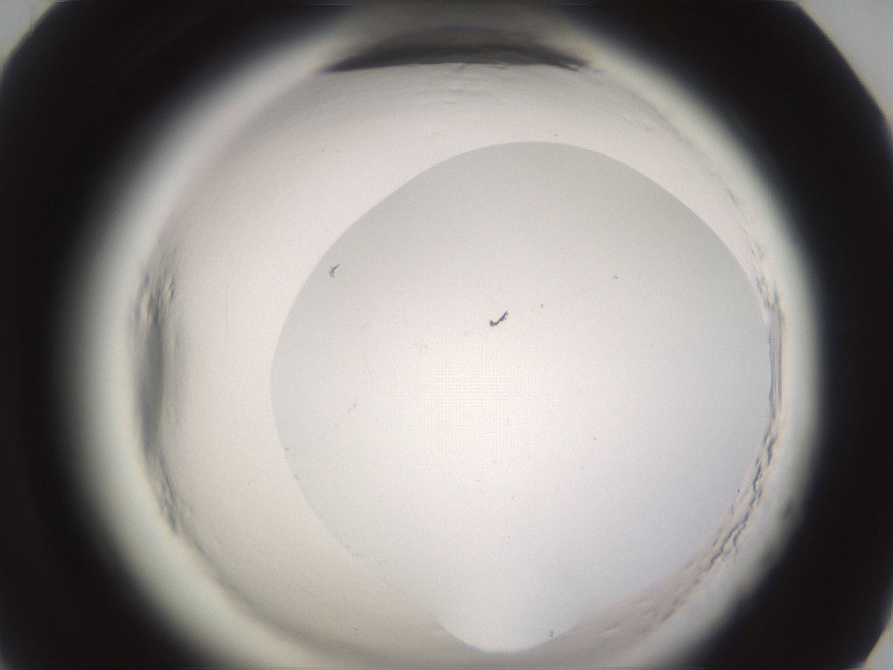 folderID589_plateID2589_batchID13167_wellNum70_profileID1_d1_r200376_ef.jpg