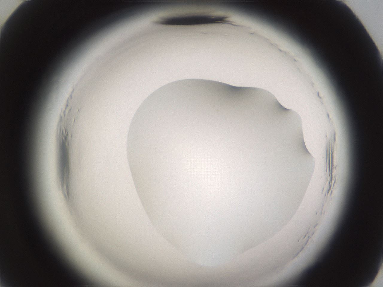 folderID589_plateID2589_batchID13167_wellNum70_profileID1_d2_r200377_ef.jpg