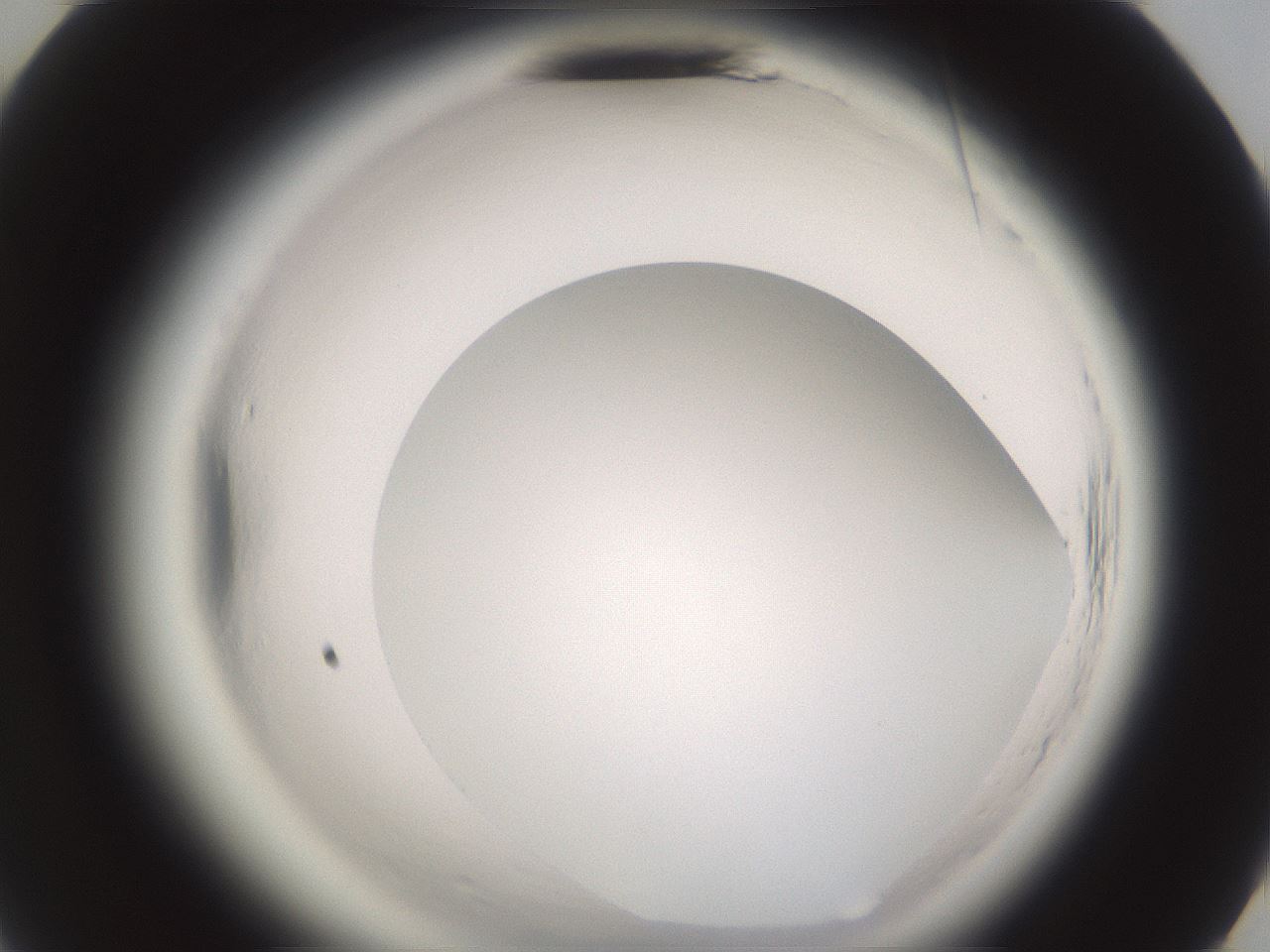 folderID589_plateID2589_batchID13167_wellNum70_profileID1_d3_r200378_ef.jpg