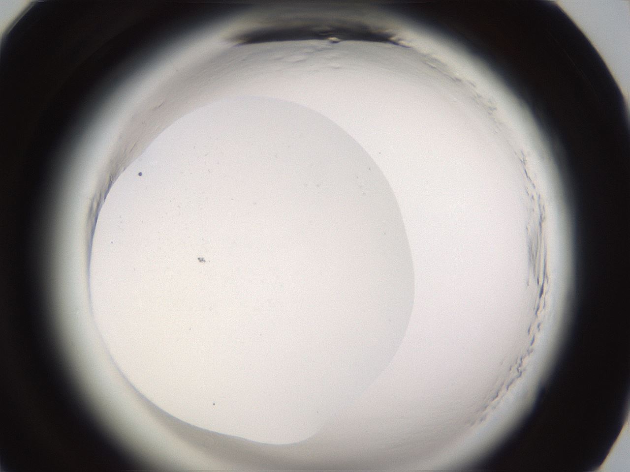 folderID589_plateID2589_batchID13167_wellNum94_profileID1_d1_r200448_ef.jpg