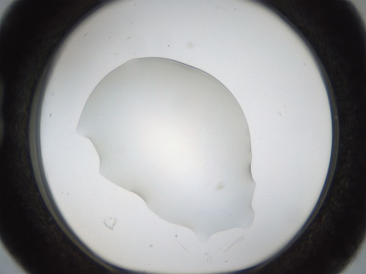 folderID58_plateID1058_batchID2301_wellNum16_profileID1_d1_r47760_ef.jpg