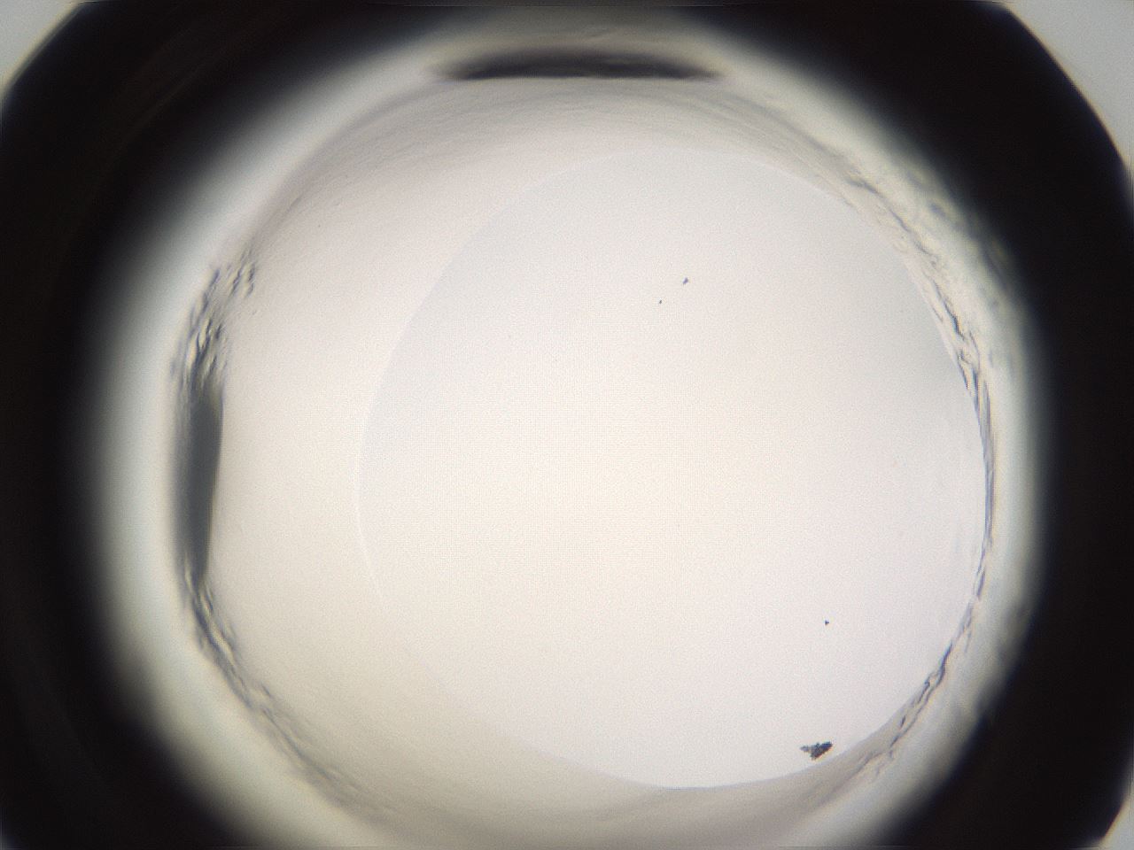 folderID589_plateID2589_batchID13167_wellNum71_profileID1_d1_r200379_ef.jpg