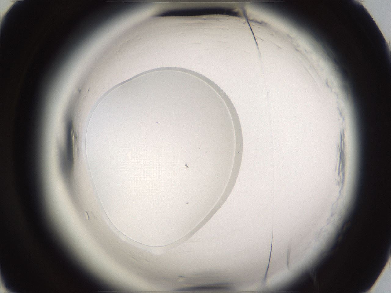 folderID589_plateID2589_batchID13167_wellNum75_profileID1_d2_r200392_ef.jpg