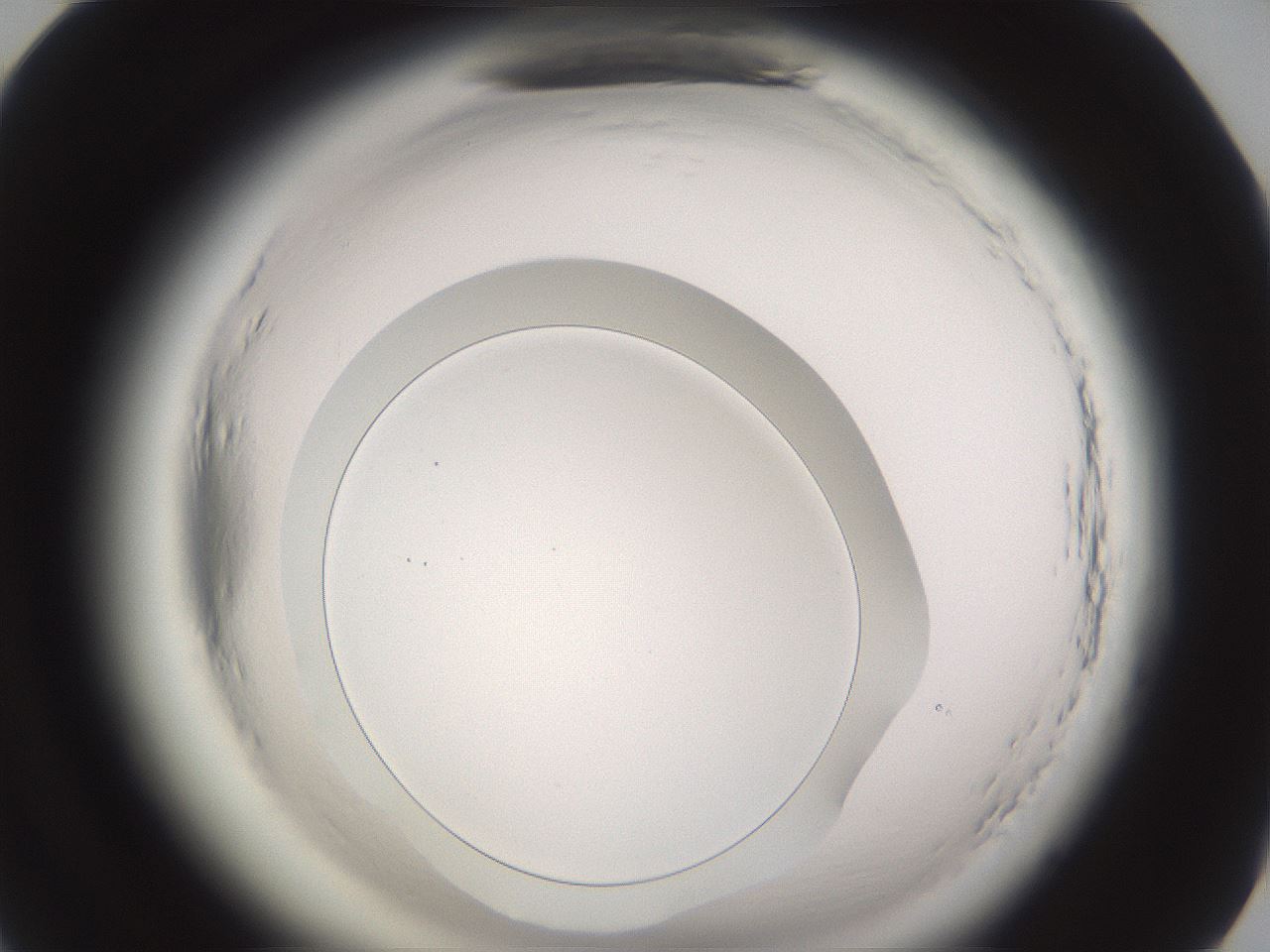folderID589_plateID2589_batchID13167_wellNum82_profileID1_d1_r200412_ef.jpg