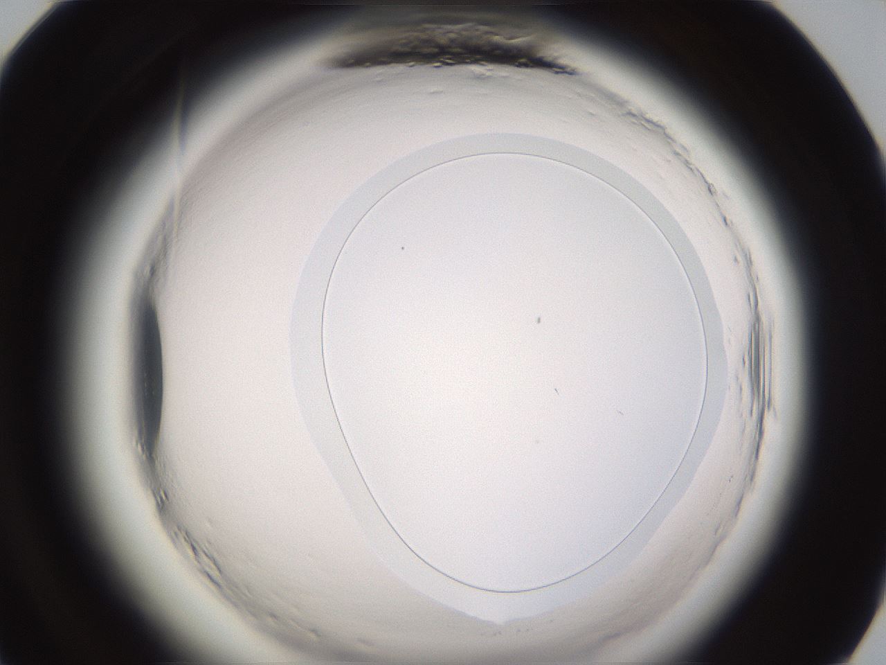 folderID589_plateID2589_batchID13167_wellNum84_profileID1_d1_r200418_ef.jpg
