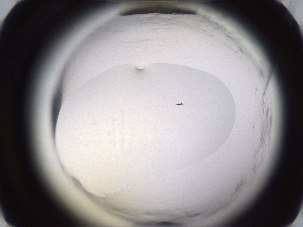 folderID590_plateID2590_batchID13170_wellNum25_profileID1_d1_r201105_ef.jpg