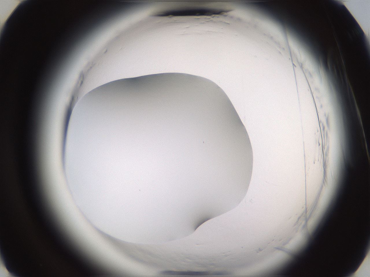 folderID590_plateID2590_batchID13170_wellNum25_profileID1_d3_r201107_ef.jpg