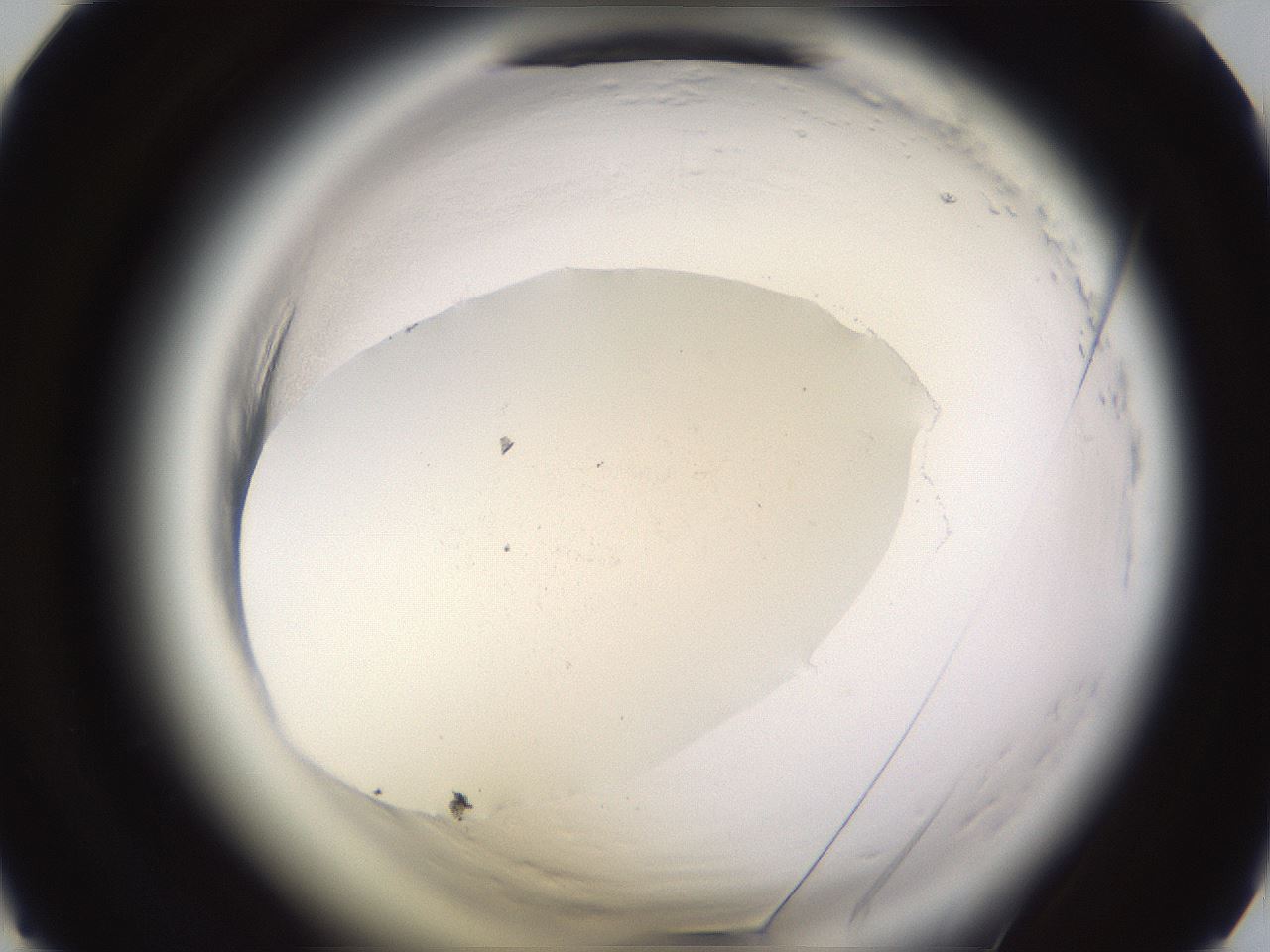 folderID590_plateID2590_batchID13170_wellNum27_profileID1_d1_r201111_ef.jpg