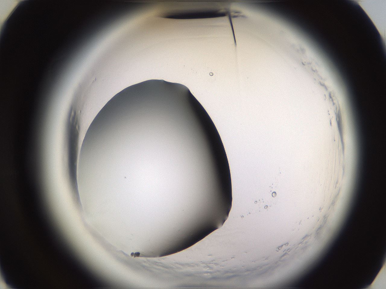folderID590_plateID2590_batchID13170_wellNum27_profileID1_d3_r201113_ef.jpg