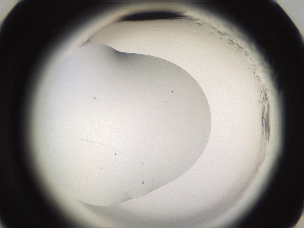 folderID590_plateID2590_batchID13170_wellNum45_profileID1_d3_r201167_ef.jpg