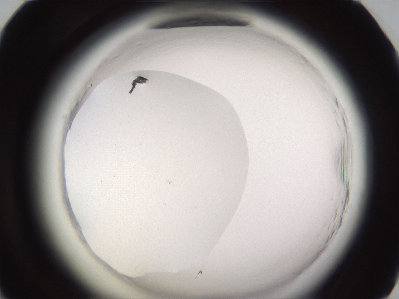 folderID590_plateID2590_batchID13170_wellNum58_profileID1_d1_r201204_ef.jpg