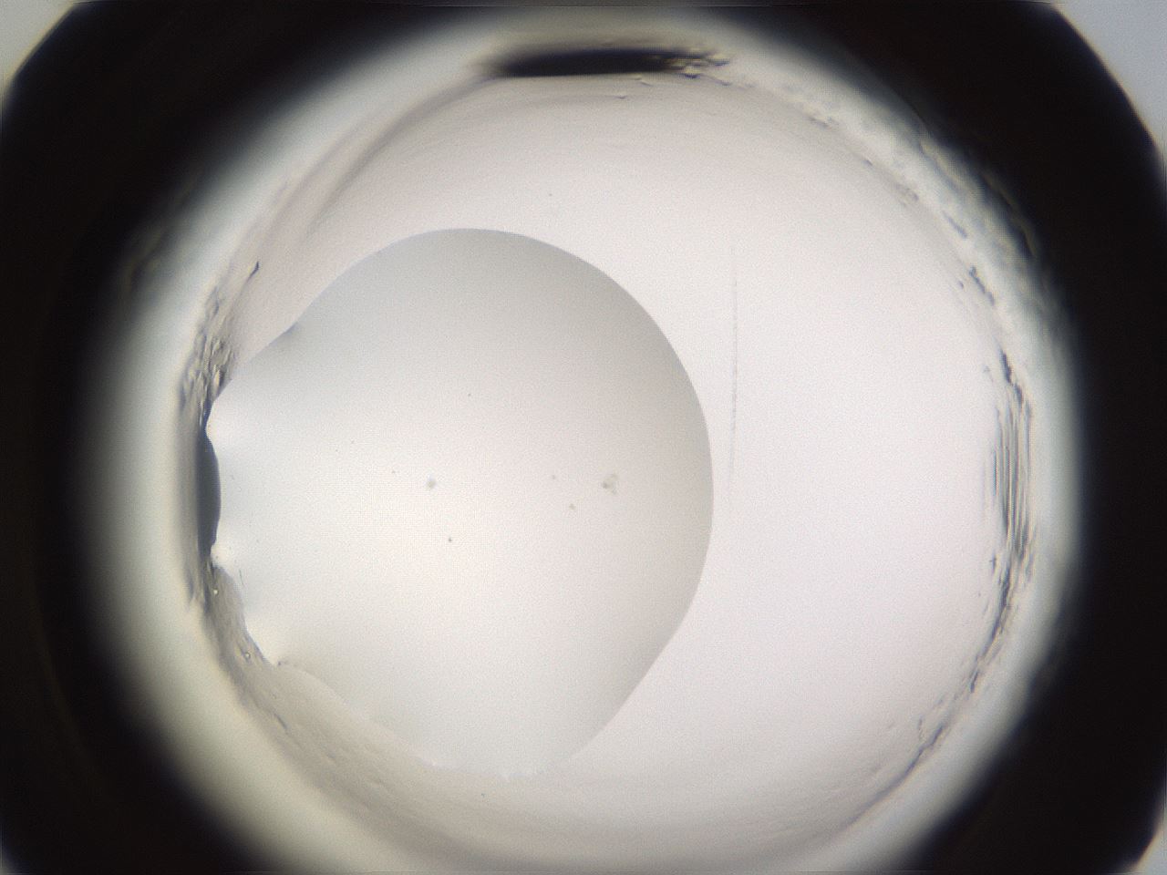 folderID590_plateID2590_batchID13170_wellNum58_profileID1_d2_r201205_ef.jpg