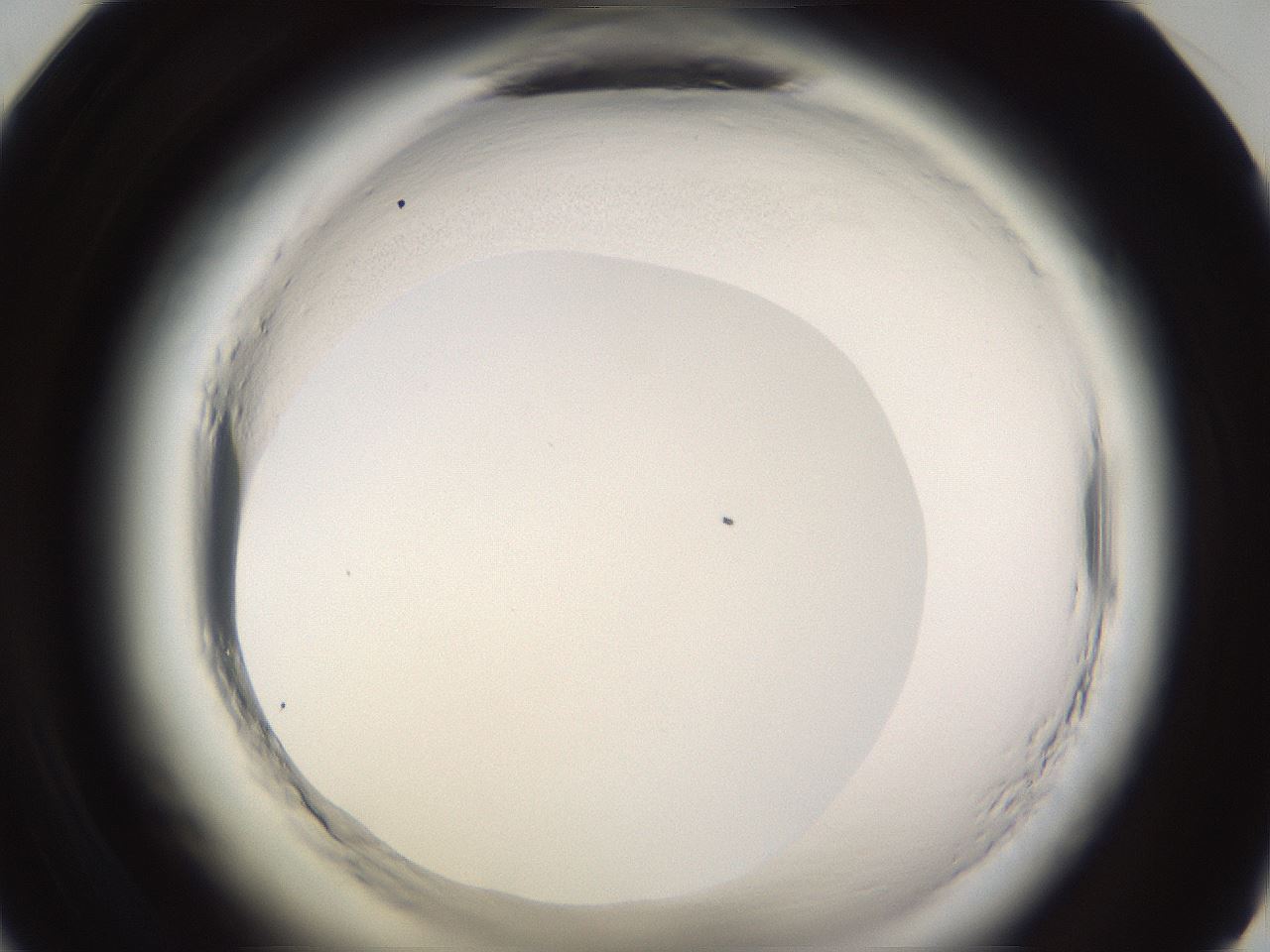 folderID590_plateID2590_batchID13170_wellNum59_profileID1_d1_r201207_ef.jpg