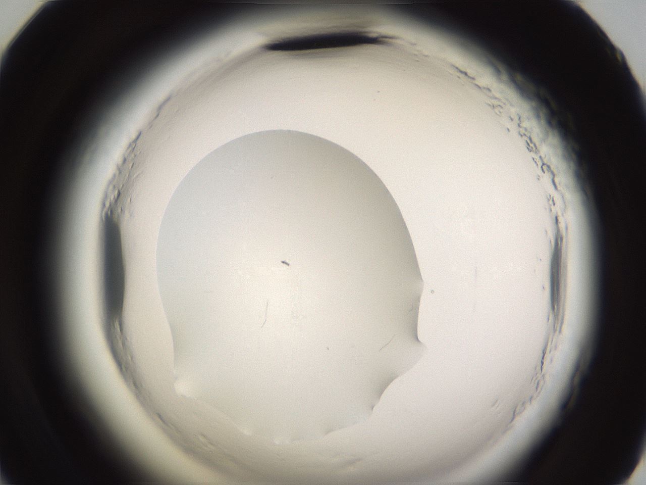folderID590_plateID2590_batchID13170_wellNum59_profileID1_d2_r201208_ef.jpg