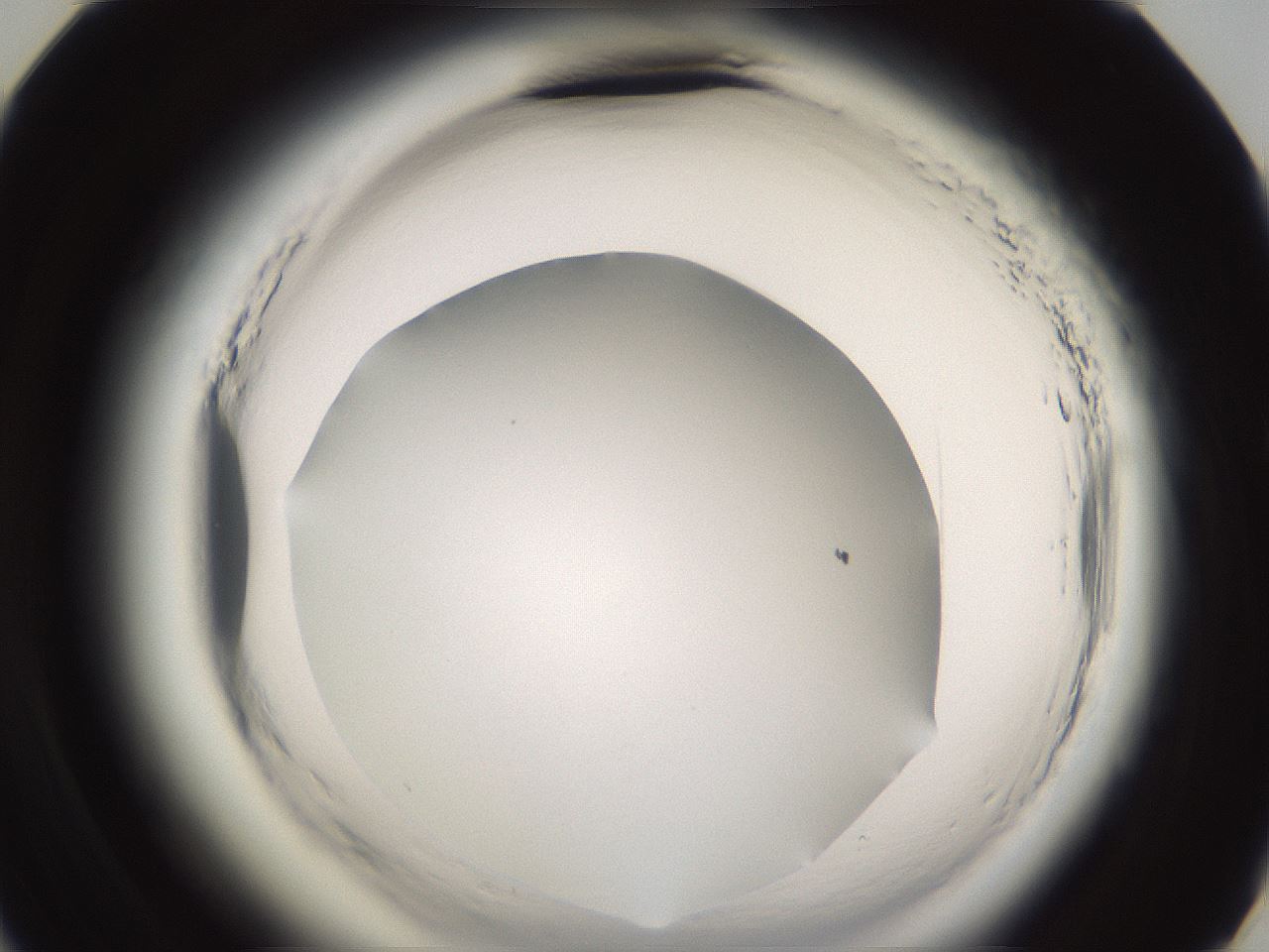 folderID590_plateID2590_batchID13170_wellNum59_profileID1_d3_r201209_ef.jpg