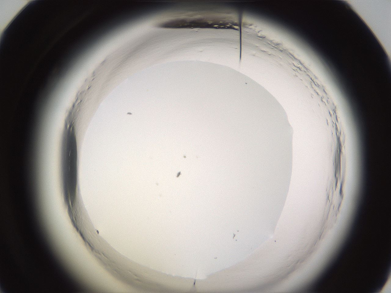 folderID590_plateID2590_batchID13170_wellNum60_profileID1_d1_r201210_ef.jpg