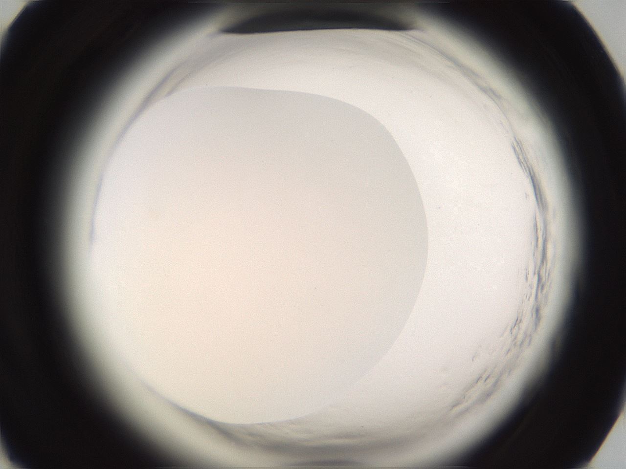 folderID590_plateID2590_batchID13170_wellNum85_profileID1_d1_r201285_ef.jpg
