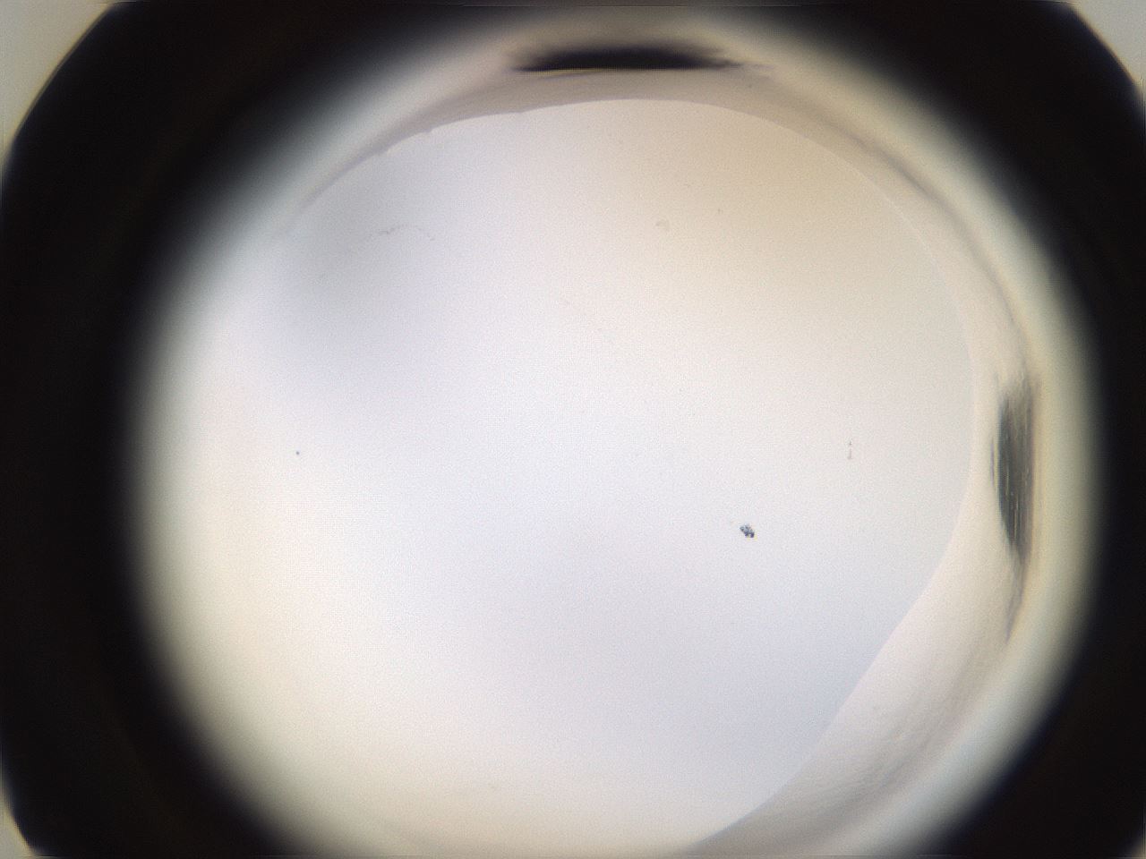 folderID591_plateID2591_batchID13174_wellNum12_profileID1_d3_r202220_ef.jpg