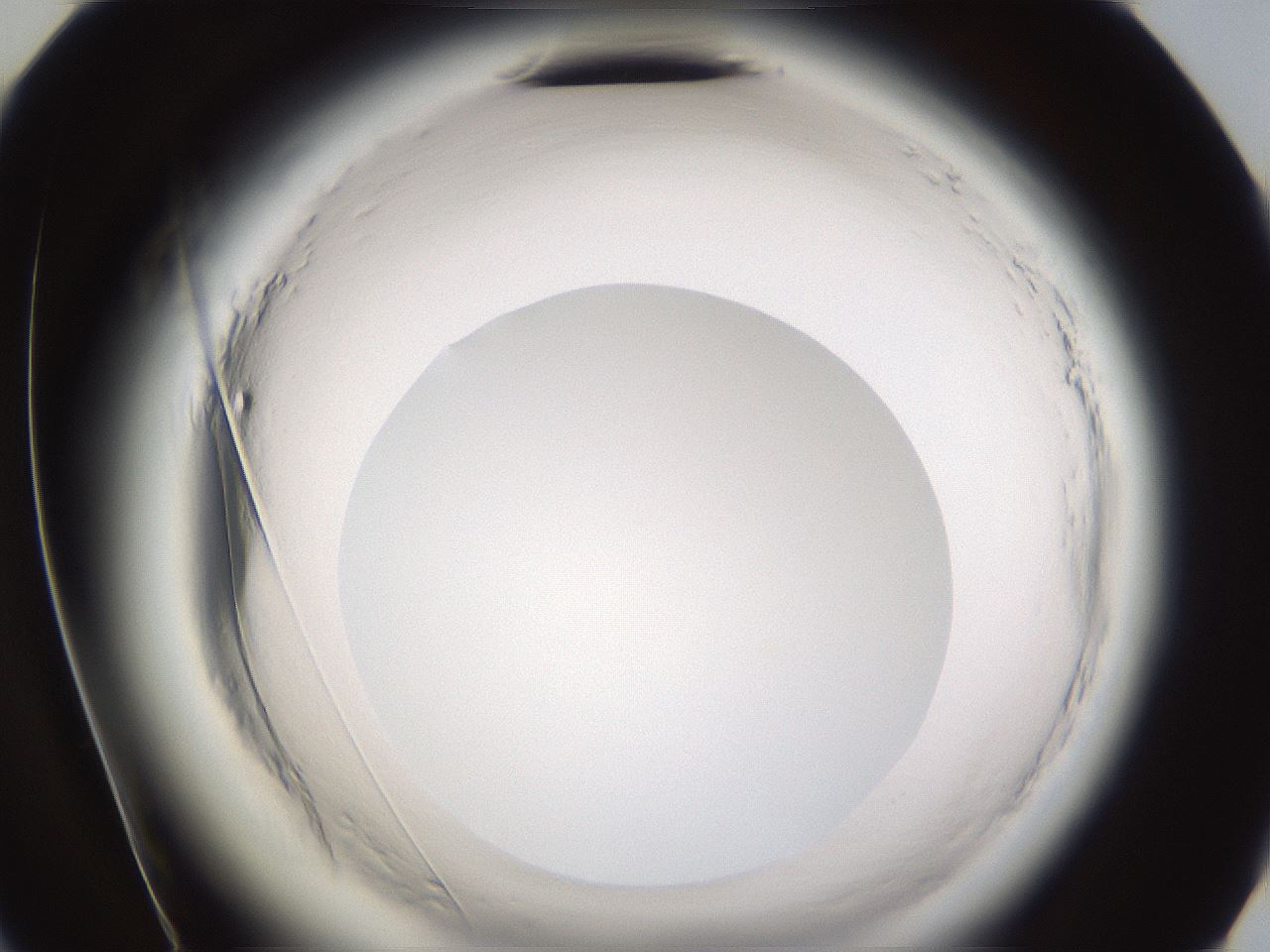 folderID591_plateID2591_batchID13174_wellNum72_profileID1_d2_r202399_ef.jpg