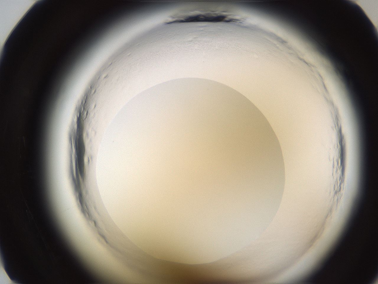 folderID592_plateID2592_batchID13178_wellNum11_profileID1_d1_r203080_ef.jpg