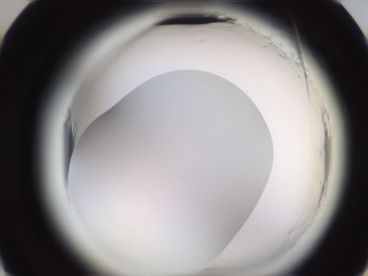 folderID592_plateID2592_batchID13178_wellNum22_profileID1_d3_r203115_ef.jpg