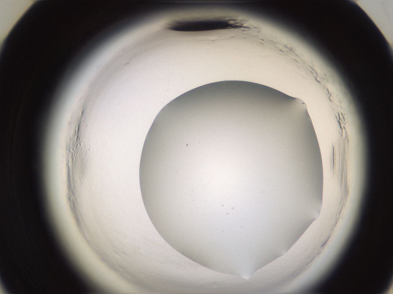 folderID592_plateID2592_batchID13178_wellNum35_profileID1_d3_r203154_ef.jpg