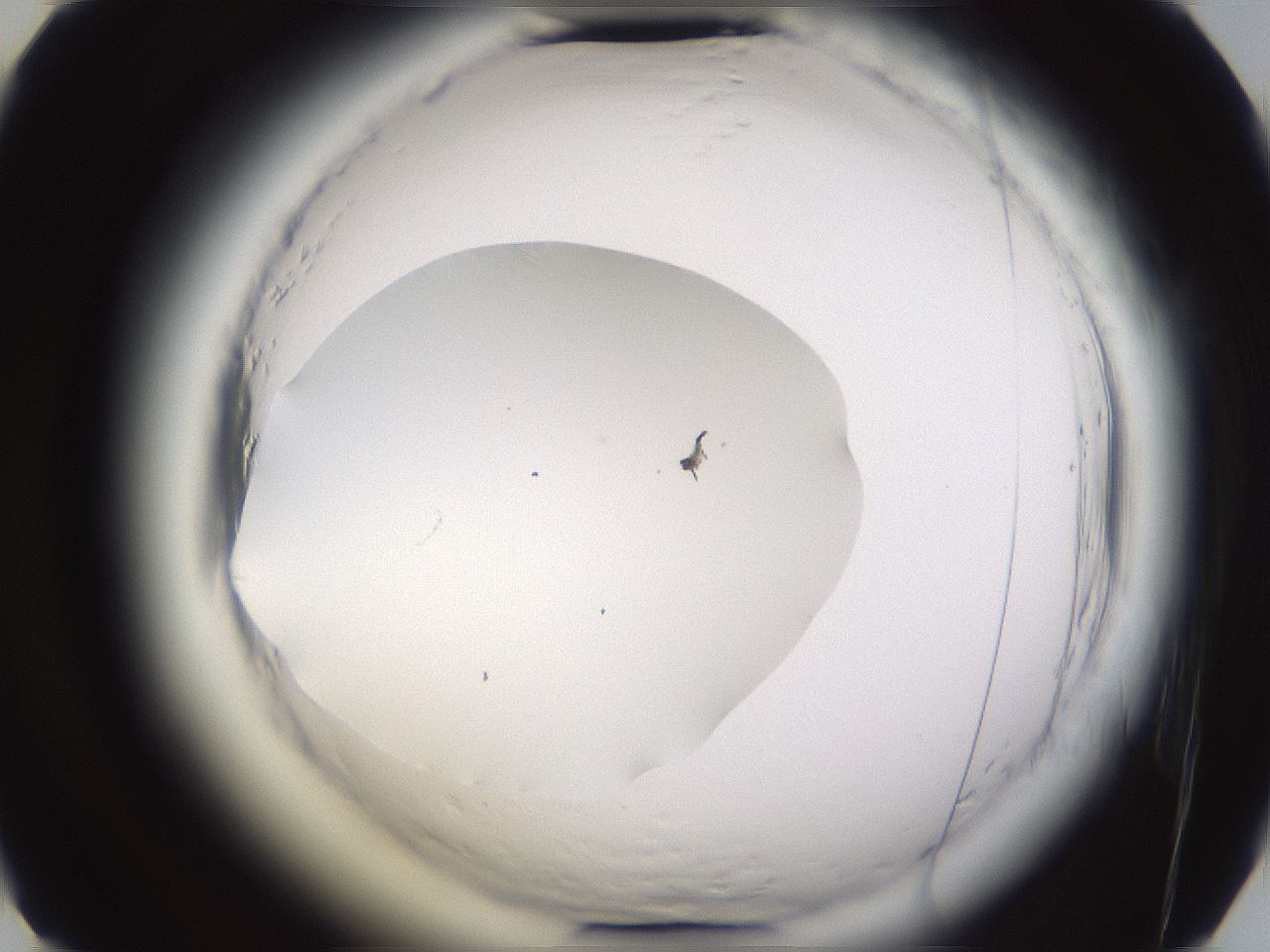 folderID592_plateID2592_batchID13178_wellNum37_profileID1_d2_r203159_ef.jpg